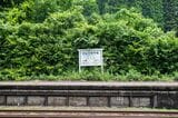 樹勢が良く、緑に飲み込まれそうな駅名標（筆者撮影）