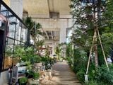 GREEN PATH