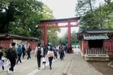 氷川神社。武蔵一宮を称し、大宮の地名・駅名の由来となった（筆者撮影）