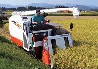 米価急落で不満が噴出! 戸別所得補償の矛盾