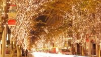 Where to Enjoy Christmas Illuminations in Tokyo 