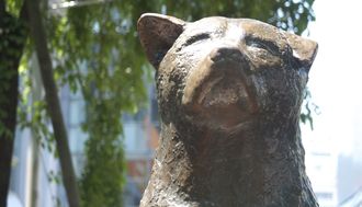 10 Things You Didn't Know about Hachiko