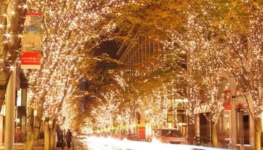 Where to Enjoy Christmas Illuminations in Tokyo 