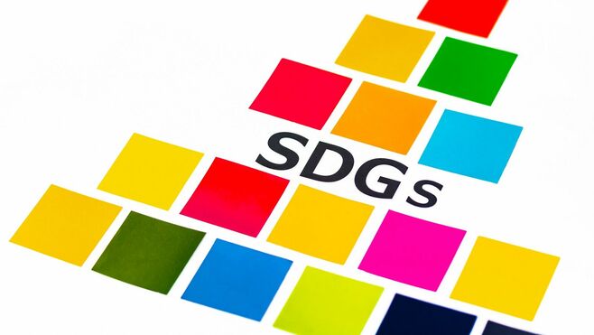 独自集計!こんなに違うSDGs17目標の取り組み度