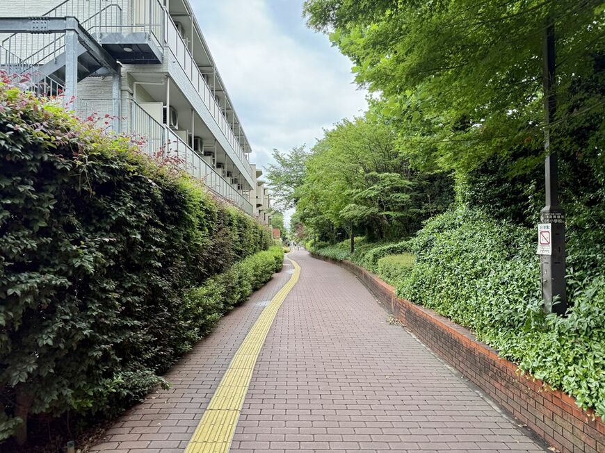 歩道部分のさぶろく四季の道。木々が生い茂っている（写真：筆者撮影）