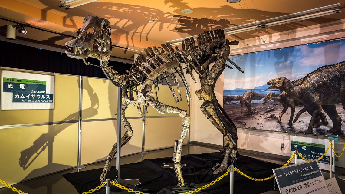 展示されている恐竜の復元模型