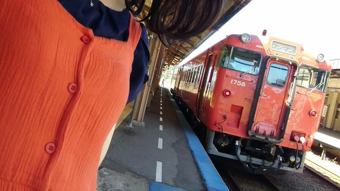 座席モケットも表現した首都圏色コーデ（写真：柚子@_yuzu_40）