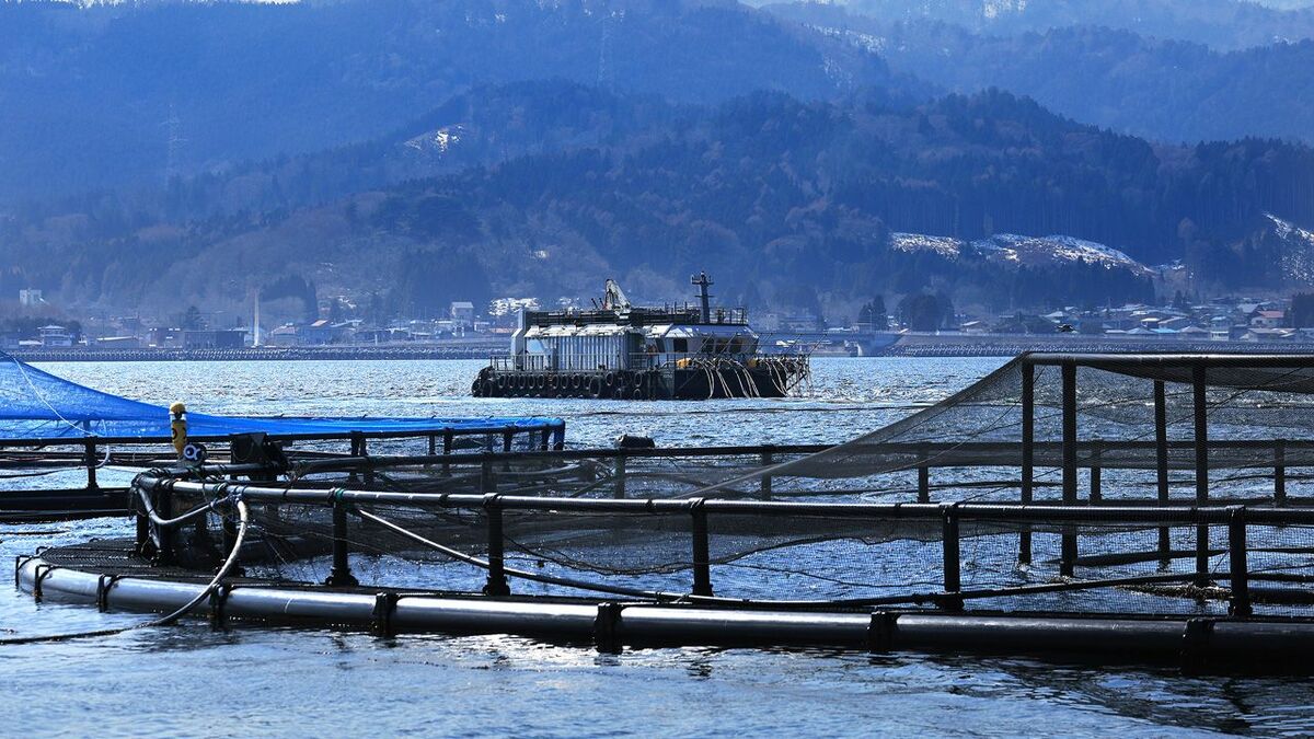 サーモン海上養殖で国内トップクラスのオカムラ食品工業／海外の魚食ブーム追い風に生産量3倍へ､垂直統合で競争力向上 | ビジネス | 東洋経済オンライン