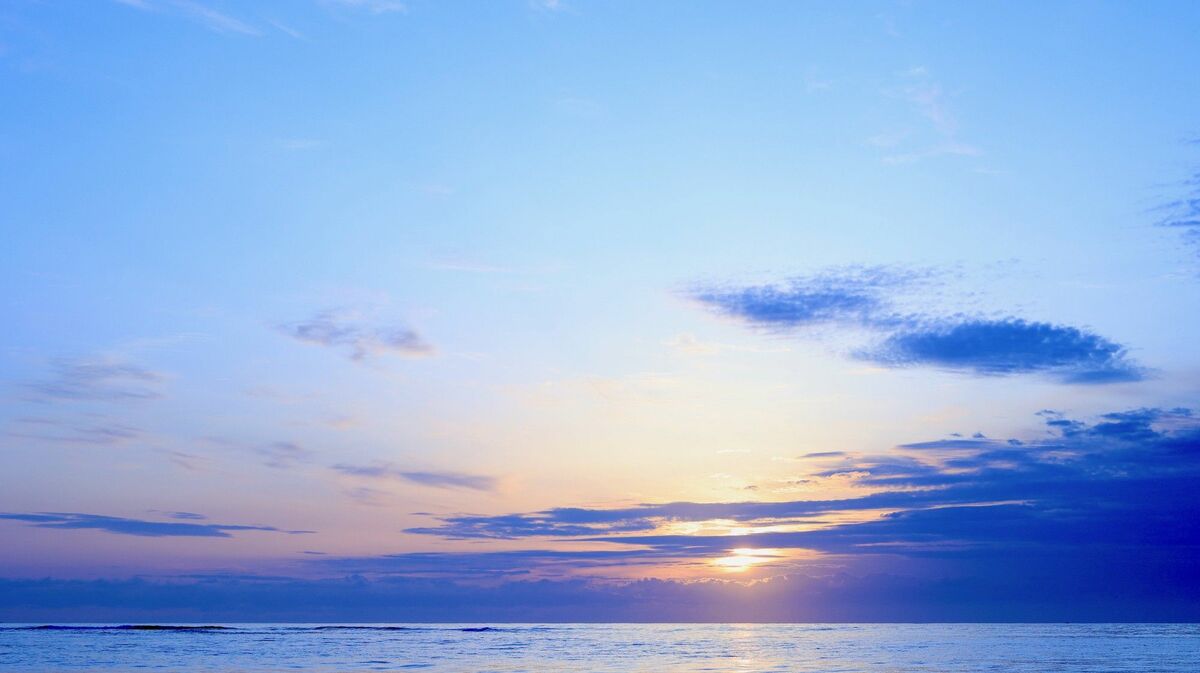 名門校教師｢古文は英語と同じように学ぶな｣の訳 | 学校・受験 | 東洋経済オンライン