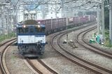 早朝の山手貨物線を走るEF64形1000番台牽引の長大コンテナ列車（撮影：南正時）