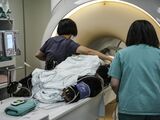 MRI検査を受ける団団（台北市立動物園提供）