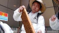 銀座育ちのミツバチが運ぶコミュニティ