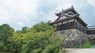 「豊臣兄弟!」の秀長、冷酷な兄の隣で生き残った訳