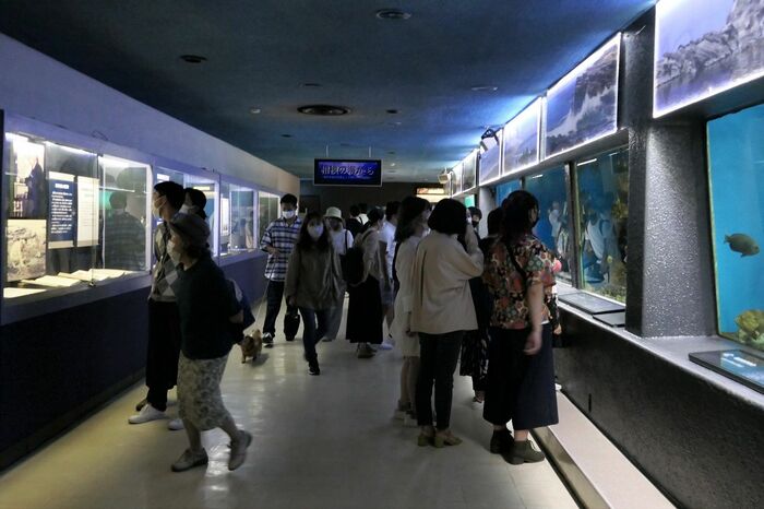 魚の国「相模の海から」