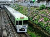 アジサイが見ごろの梅雨時にはヘッドマークを付けた電車も走る（撮影：南正時）