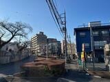 桜のロケ地