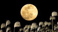 ｢地球と月｣が実は似ているロマンティックな理由