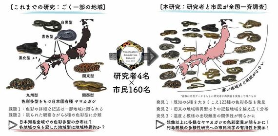北海道大学プレスリリースより