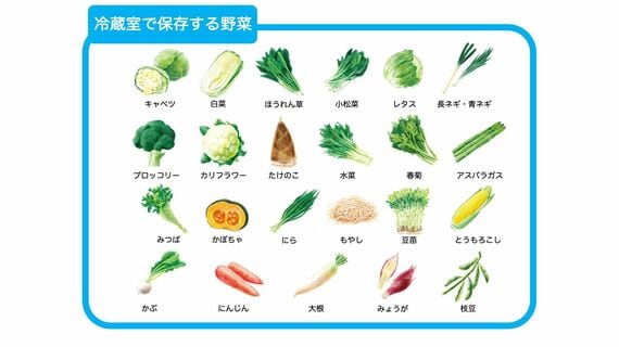 冷蔵室で保存する野菜
