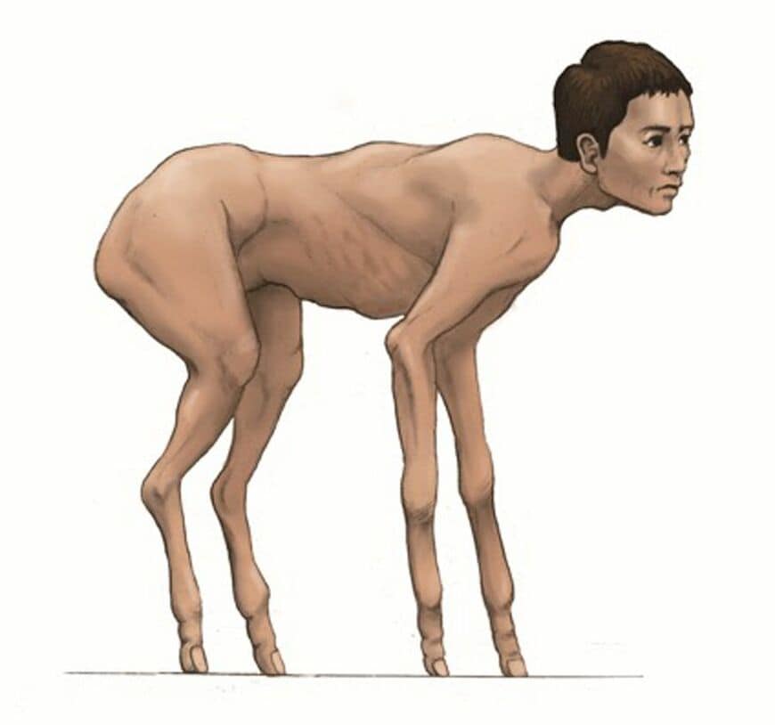 （出典：『カメの甲羅はあばら骨 ジュニア版』）