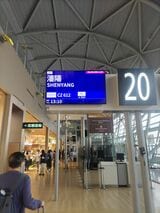 行きは関空→瀋陽→ウイグルのウルムチ→ジョージアのトビリシ。帰りはトビリシ→ウルムチ→上海→関空。乗り継ぎ2回ずつで移動した（筆者撮影）