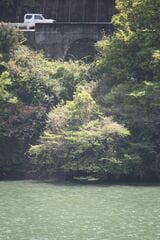船明―相津間：天竜川の西岸に移って東岸の国道152号を見ると、その下に船明トンネルの相津寄り坑口がある。手前の水面から突き出ていた第1天竜川橋梁の橋脚は撤去された（筆者撮影）