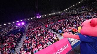 東京グレートベアーズ