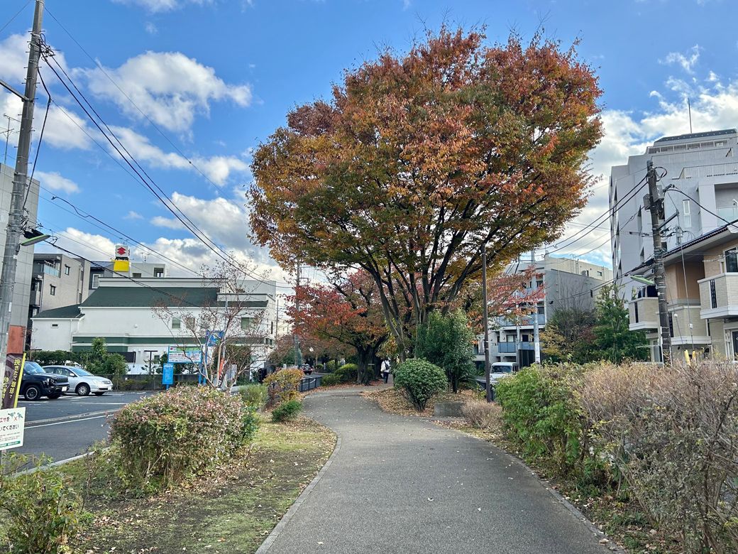 東京で最初に住んだ街 経堂