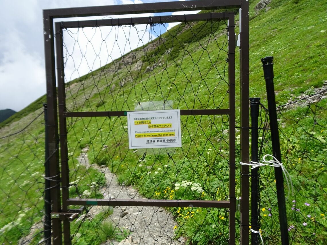 夏場にはシカの侵入を防ぐ防鹿柵が張られる。（写真：諏訪部豊氏提供）