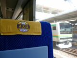 JR線をゆく日光詣スペーシア＝2016年3月18日（記者撮影）