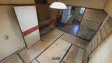 ゴミ屋敷