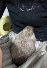 （写真提供：まる子さん）