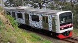 JR209系を改造した伊豆急行の3000系「アロハ電車」（筆者撮影）