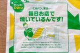 以前から包み紙にはメッセージがプリントされていましたが、「このパン実は……毎日お店で焼いているんです！」が、今までで一番パンチのある情報でした（筆者撮影）