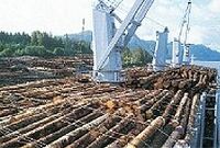 【産業天気図・海運業】どしゃ降り脱するが０９年度通じて「雨」