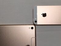 アップル｢13年ぶり減収減益｣は意外に深刻だ 再浮上への手はすでに打っているが…