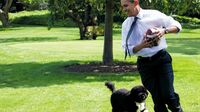 オバマ元大統領が何よりも愛犬を大切にした理由、「ホワイトハウス1年目の数々の喜びのなかで、ボーがやって来たことに勝る喜びはなかった」