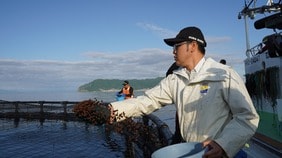 くら寿司バイヤーが函館沖で挑む前代未聞の物流革命､新幹鮮魚と全量買い取りが導く｢漁業者との共存共栄｣