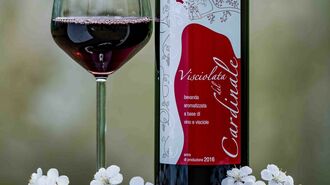 ｢魔女の血｣の異名を持つイタリア発ワインの秘密