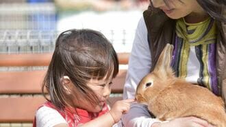 ｢外で遊ぶこと｣こそが子どもの世界を広げる