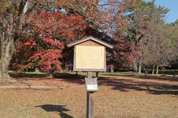 光る君へ 大河ドラマ 藤原道長