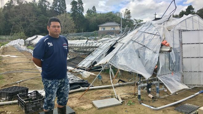 ｢千葉のイチゴ農家｣を襲った台風の厳しい現実