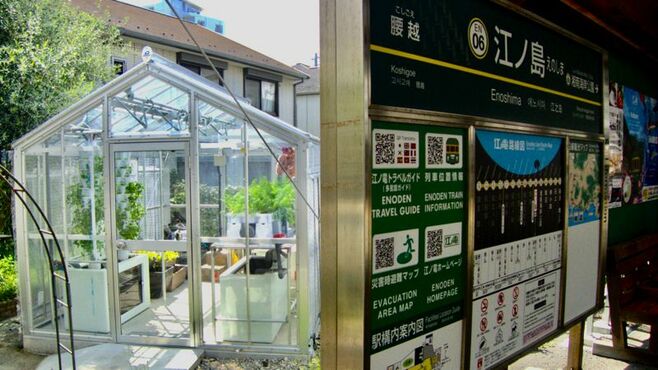 江ノ電が駅ホーム上で展開｢農業と小さな水族館｣