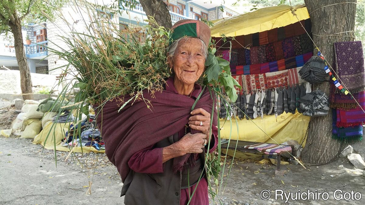 TVマン見た｢マジで秘境｣チベット仏教の村(後編) ｢チベットの聖地｣でラマが教える"瞑想"の秘訣 | 旅行 | 東洋経済オンライン
