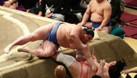 脳震とう問題あった大相撲｢土俵は危険｣説の実際 安全面への対策は進むものの対策はまだ不十分