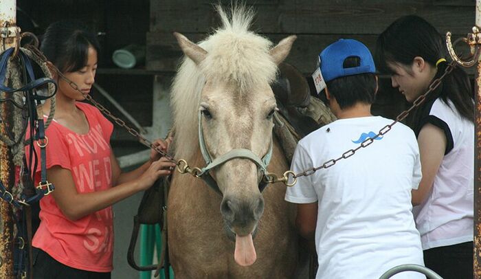自ら学び知性を磨く「自学自習」の課外教室が充実（高校）