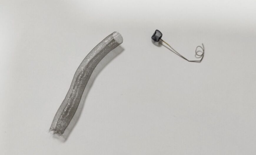 フローダイバーターとWEB（大石医師提供）