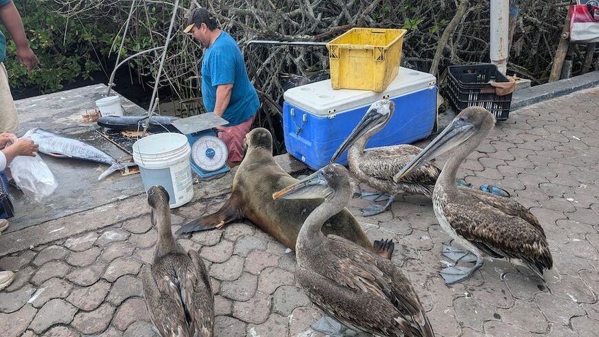 浦上早苗 世界一周