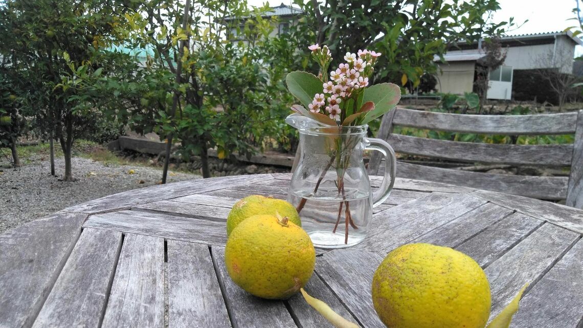 50代単身で移住した50代女子を訪ねて……（写真：あられもち／PIXTA）