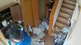 ゴミ屋敷
